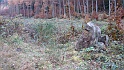 Ritterstein Nr. 040-4 R. Granitzenhütte